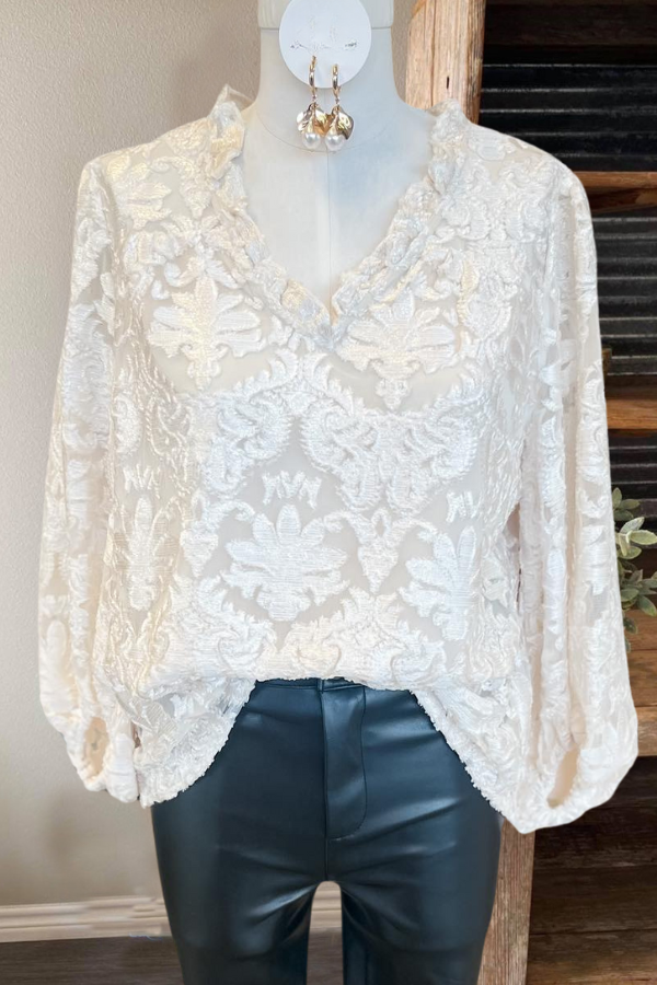 Ruffled Embroidered V-Neck Top