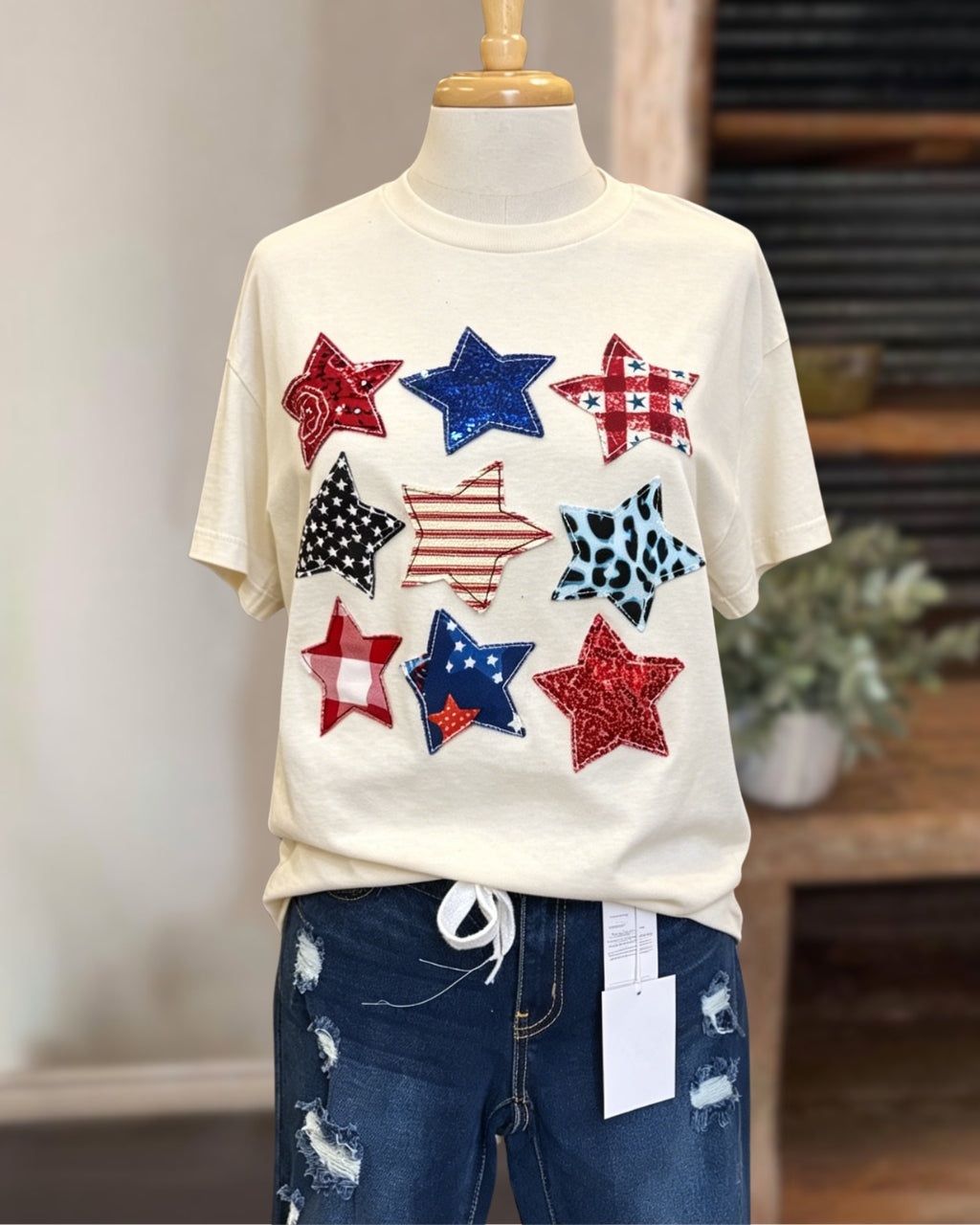 Mixed-Star Nine-Grid Appliqué Top