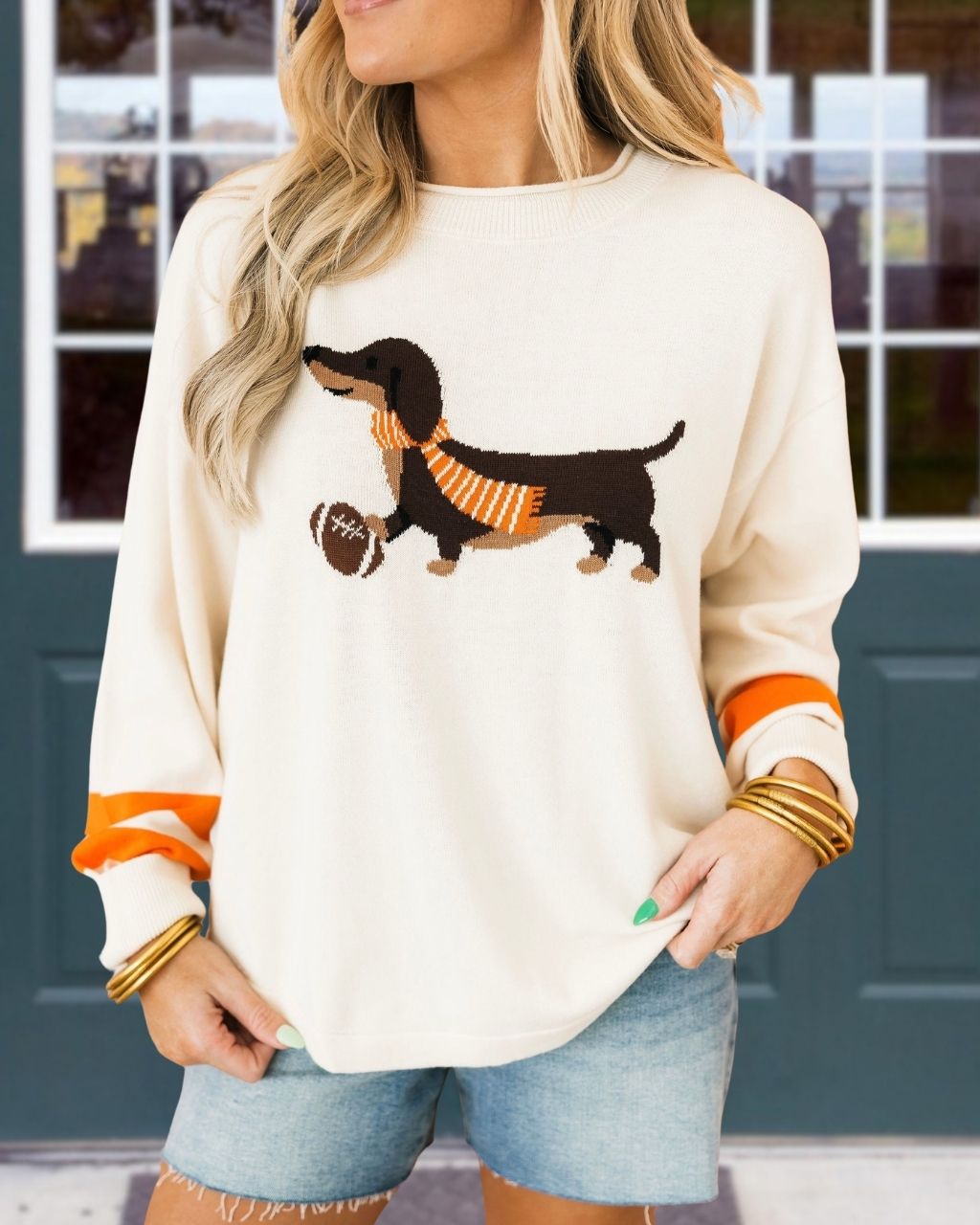 Football Dachshund Embroidered Pullover