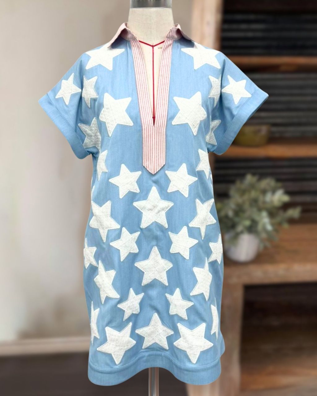 Patriotic Stars Striped Trim Dress