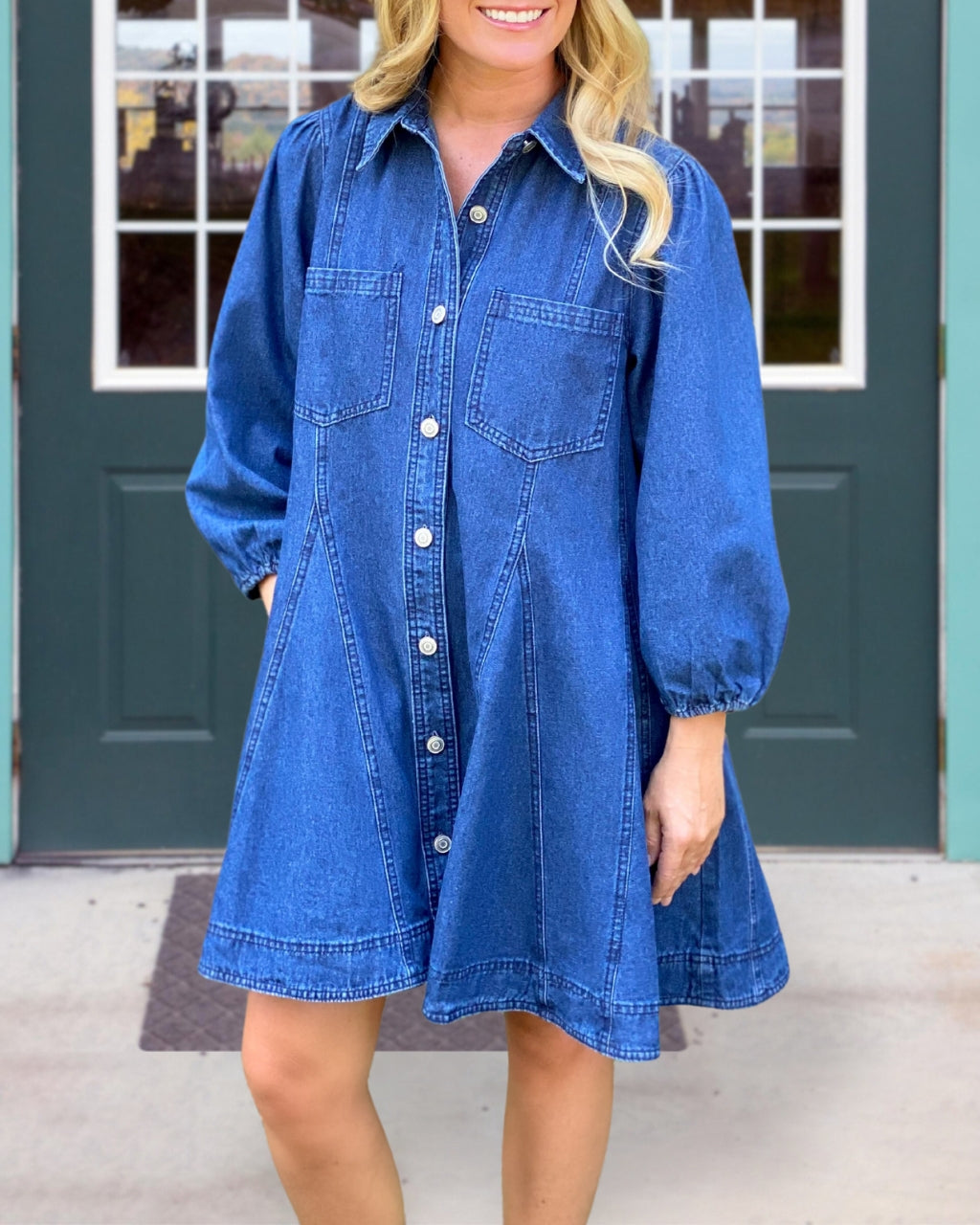 Karen Denim Mini Dress