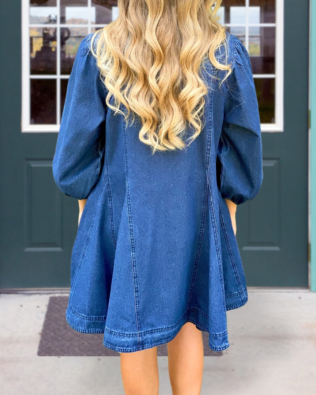 Karen Denim Mini Dress