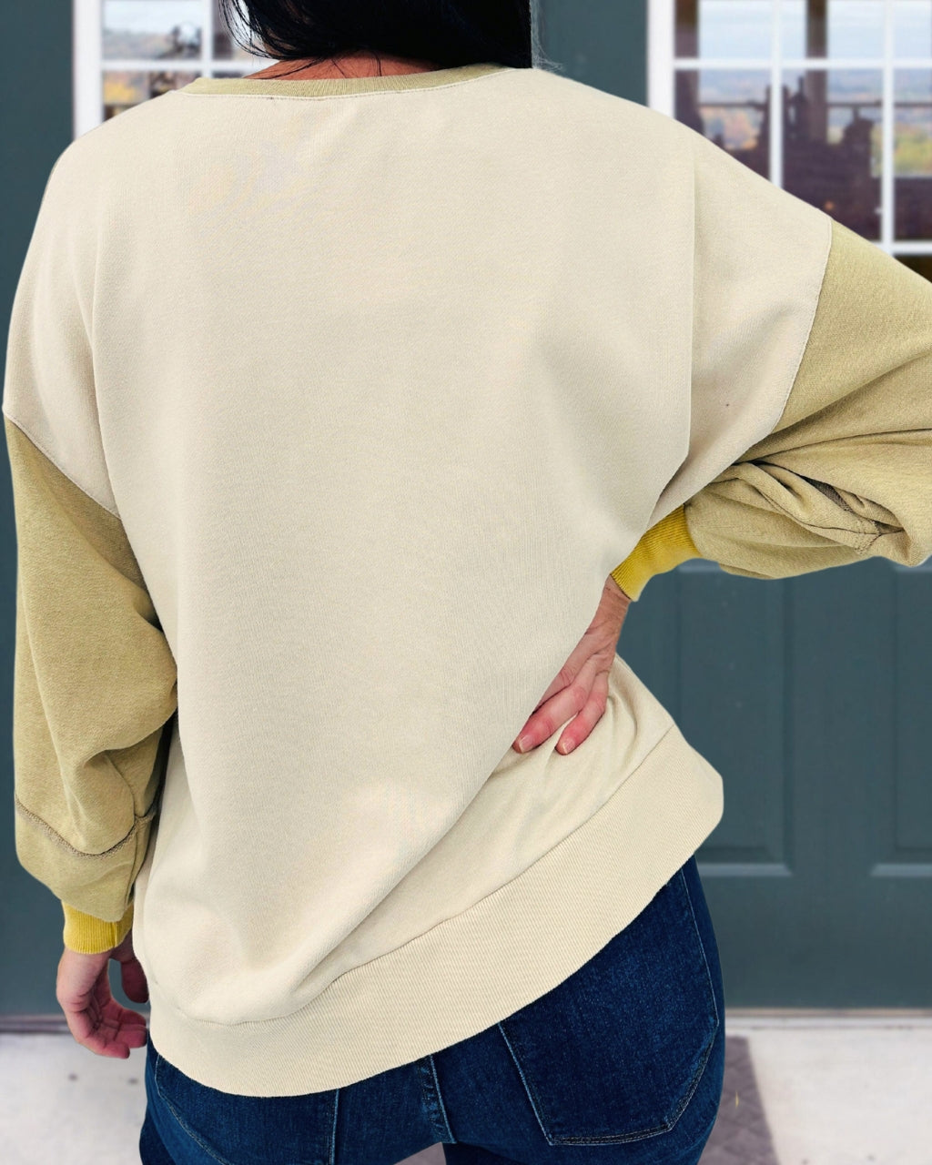 Balanced Color Henley Sweatshirt