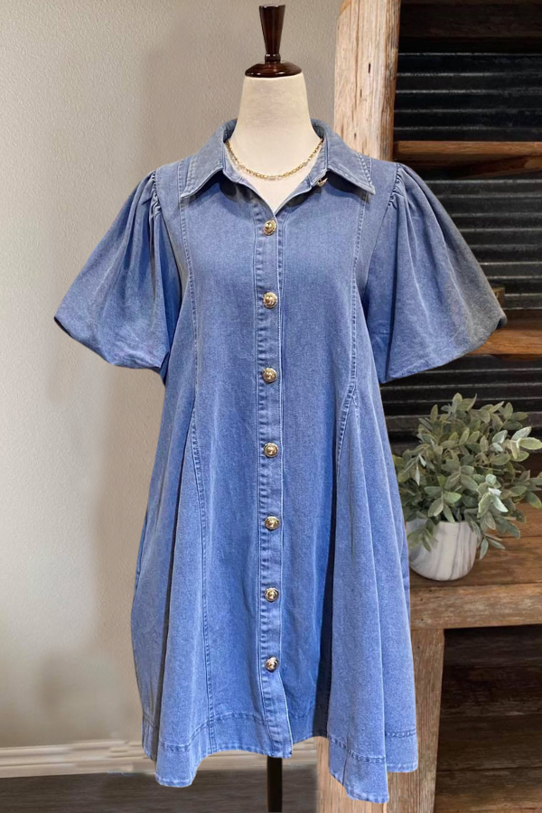 Simple Stylish Denim Shirt Dress